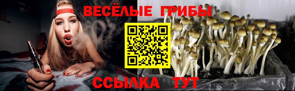 Галлюциногенные грибы Magic Shrooms Серпухов